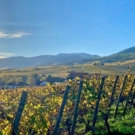 Appartamento Le Grasberg Bergheim Esterno foto